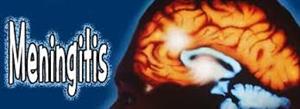 meningitis 