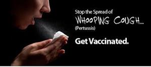 pertussis 