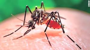 zika 